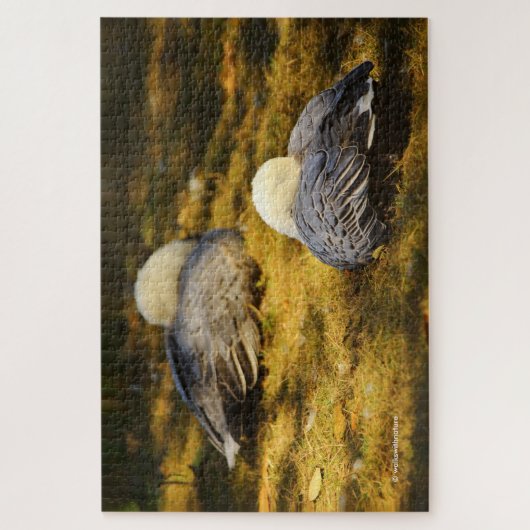 Sneeuwgans dromen in de zomer van de zon legpuzzel (Verticaal)