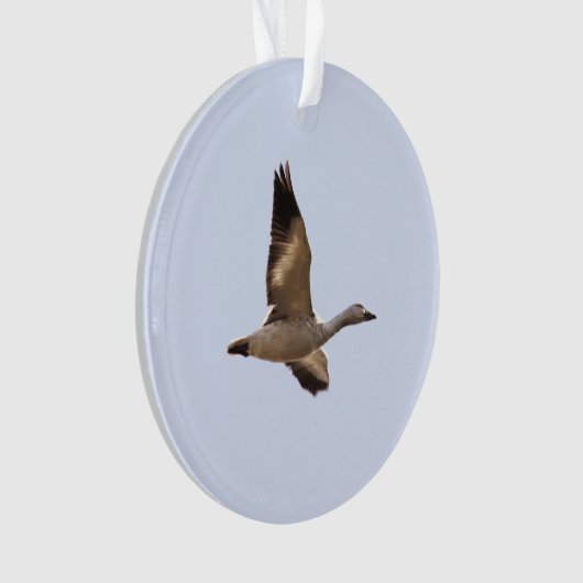 Sneeuwgans Ornament (voorkant)