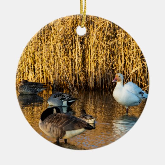Sneeuwgans Ornament (Voorkant)