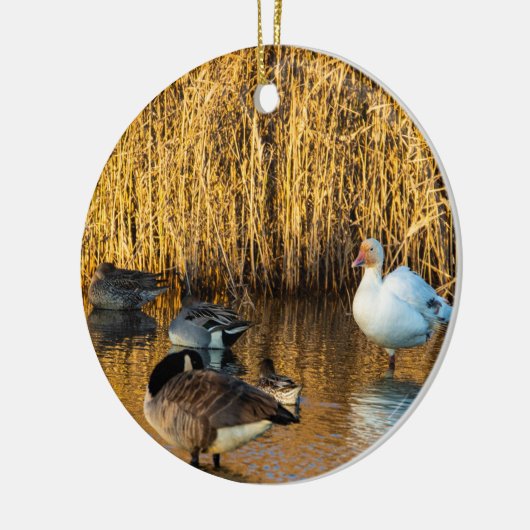 Sneeuwgans Ornament (Links)