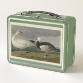 Sneeuwgans uit de Amerikaanse vogels van Audubon (Voorkant)