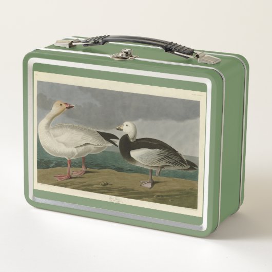 Sneeuwgans uit de Amerikaanse vogels van Audubon (Voorkant)