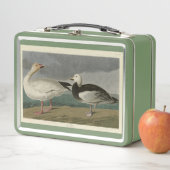 Sneeuwgans uit de Amerikaanse vogels van Audubon (In situ)