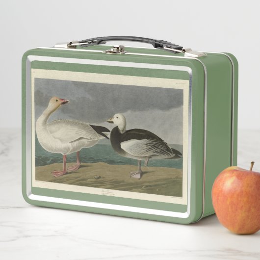 Sneeuwgans uit de Amerikaanse vogels van Audubon (In situ)