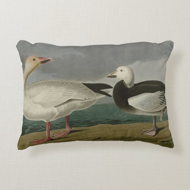 Sneeuwgans uit de Amerikaanse vogels van Audubon Accent Kussen (Voorkant)