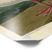 Sneeuwgans uit de Amerikaanse vogels van Audubon Foto Afdruk (Hoek)