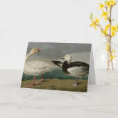 Sneeuwgans uit de Amerikaanse vogels van Audubon Kaart (Gele Bloem)