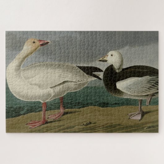 Sneeuwgans uit de Amerikaanse vogels van Audubon Legpuzzel (Horizontaal)