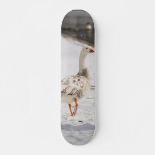 Sneeuwgansestruintje Persoonlijk Skateboard