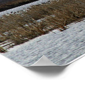 Sneeuwganzen die opstijgen bij Squaw Creek Refuge  Poster (Hoek)