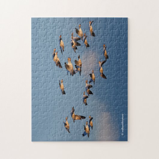 Sneeuwganzen in de zon legpuzzel (Verticaal)