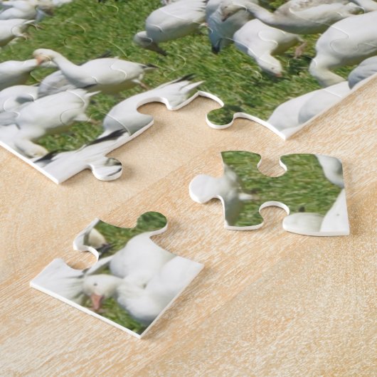 Sneeuwganzen in een veld legpuzzel (Zijkant)