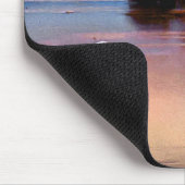 Sneeuwganzen op de berg Vernon Muismat (Hoek)