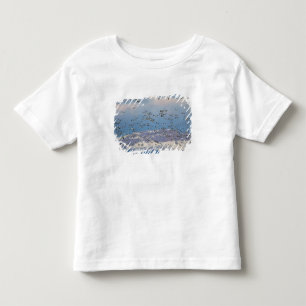 Sneeuwganzen tijdens de voorjaarstrek kinder shirts