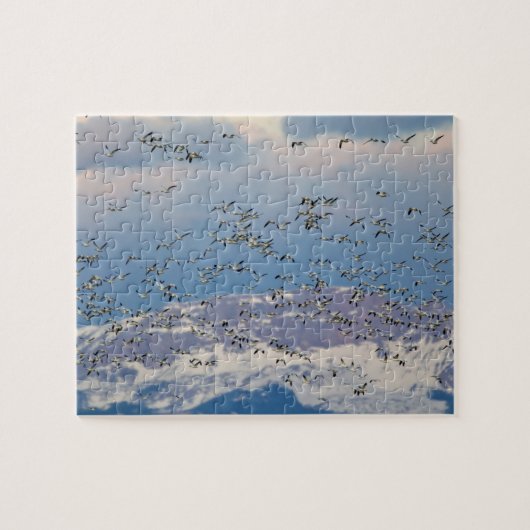 Sneeuwganzen tijdens de voorjaarstrek legpuzzel (Horizontaal)