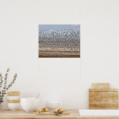 Sneeuwganzen tijdens de voorjaarstrek poster (Keuken)