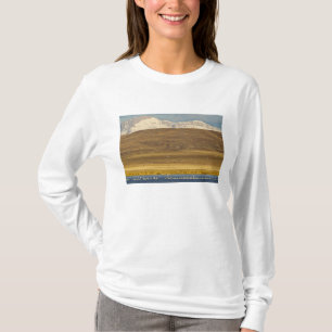 Sneeuwganzen tijdens de voorjaarstrek t-shirt