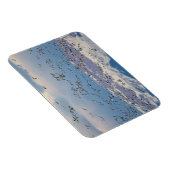 Sneeuwganzen tijdens lentemigratie magneet (Rechterzijde)