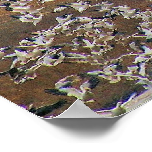 Sneeuwganzen vliegen! poster (Hoek)