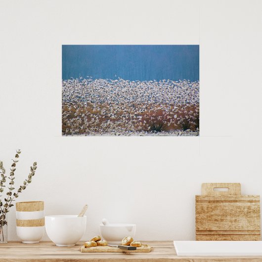 Sneeuwganzen vliegen! poster (Keuken)