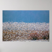 Sneeuwganzen vliegen! poster (Voorkant)