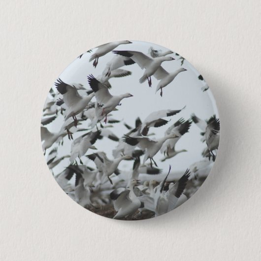 Sneeuwganzenmigratie Ronde Button 5,7 Cm (Voorkant)