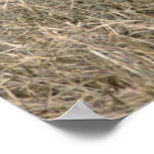 SneeuwganzenPoster Poster (Hoek)