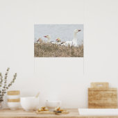 SneeuwganzenPoster Poster (Keuken)