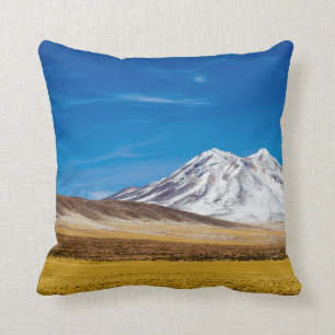 Sneeuwgebergte en pioniersgrasland kussen