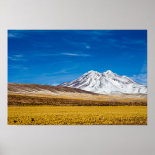 Sneeuwgebergte en pioniersgrasland poster
