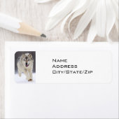 SNEEUWGEBONDEN GRIJZE WOLF RETOURADRES LABEL (Insitu)