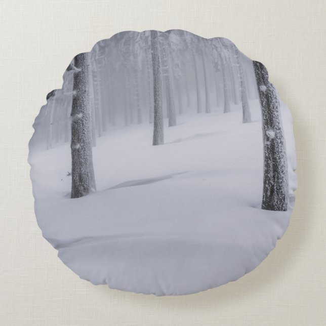 SNEEUWGEDEKTE BOMEN TIJDENS DE DAG ROND KUSSEN (Voorkant)