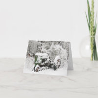 Sneeuwgedekte trekker