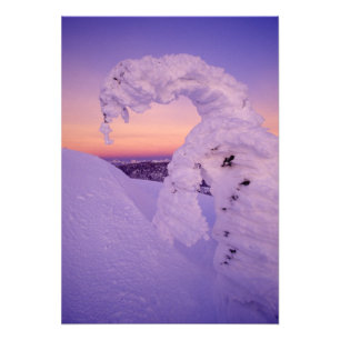Sneeuwgeest in het Whitefish-gebergte bij schemeri Foto Afdruk