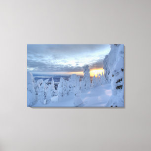 Sneeuwgeesten bij zonsondergang op Whitefish Mount Canvas Afdruk