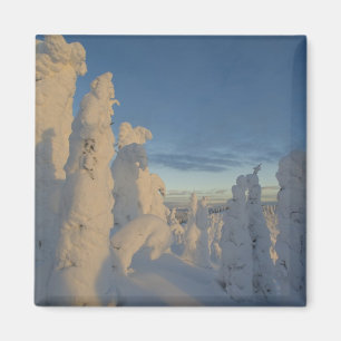 Sneeuwgeesten bij zonsondergang op Whitefish Mount Magneet