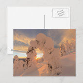 Sneeuwgeesten in de Whitefish Range Briefkaart (Voorkant / Achterkant)