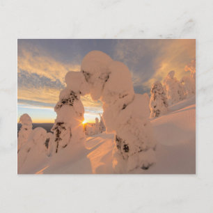 Sneeuwgeesten in de Whitefish Range Briefkaart