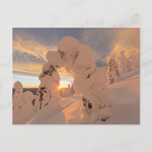 Sneeuwgeesten in de Whitefish Range Briefkaart (Voorkant)
