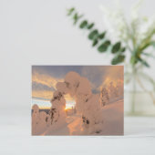 Sneeuwgeesten in de Whitefish Range Briefkaart (Staand voorkant)