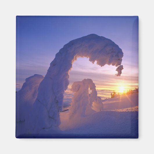 Sneeuwgeesten in het Whitefish-gebergte in Montana Magneet (Voorkant)