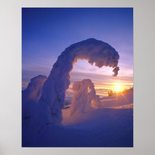 Sneeuwgeesten in het Whitefish-gebergte in Montana Poster