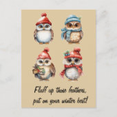 Sneeuwgeesten: Uilen in de winter warmte Briefkaart (Voorkant)