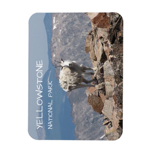 Sneeuwgeit, Froze to Death Plateau, Yellowstone Magneet (Verticaal)