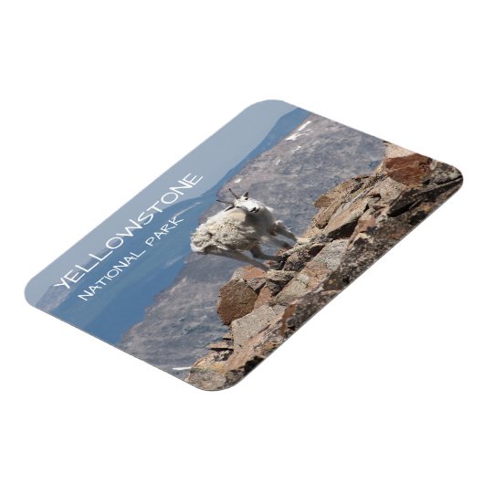 Sneeuwgeit, Froze to Death Plateau, Yellowstone Magneet (Linkerzijde)