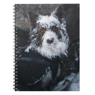Sneeuwgezicht Rode Border Collie in Winterjas Notitieboek