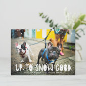 Sneeuwgoed | Pet Holiday-fotokaart (Staand voorkant)