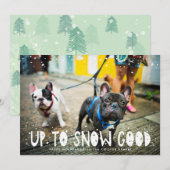 Sneeuwgoed | Pet Holiday-fotokaart (Voorkant / Achterkant)