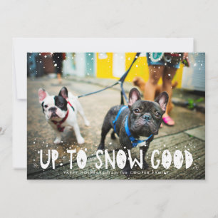 Sneeuwgoed Pet Holiday-fotokaart