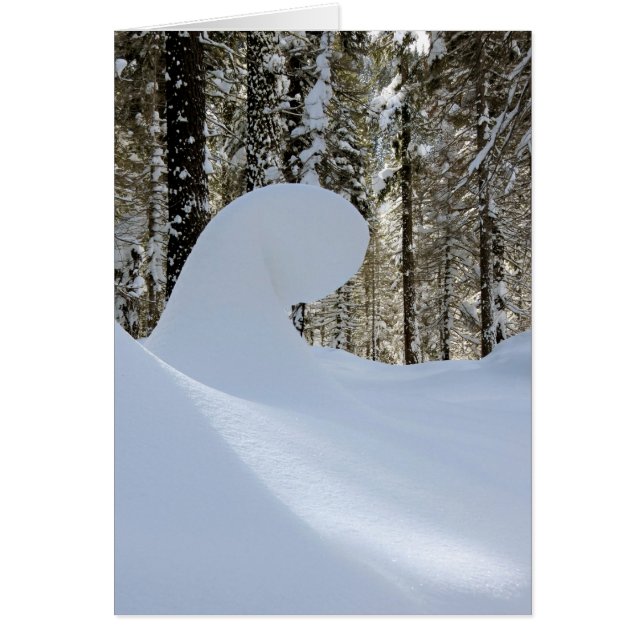 Sneeuwgolf 2014 (Voorkant)